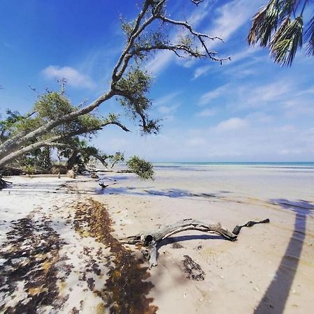 Tortuga Tillys Cape San Blas Екстериор снимка