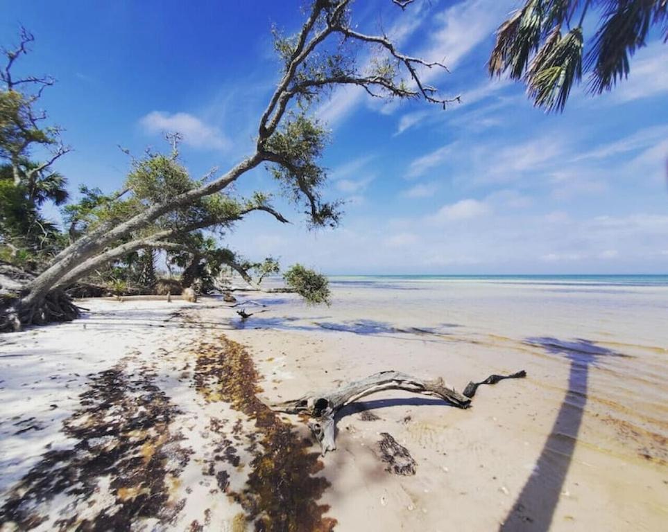 Tortuga Tillys Cape San Blas Екстериор снимка